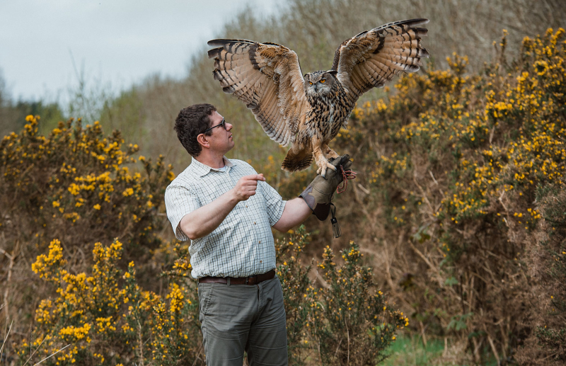 Photo session for http://www.kingdomfalconry.com/cms/