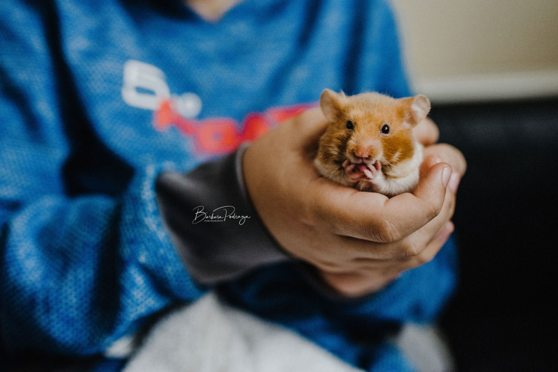 Children Day By Day February 2019