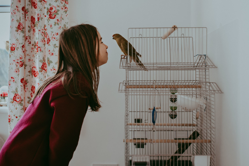 Children Day By Day February 2022