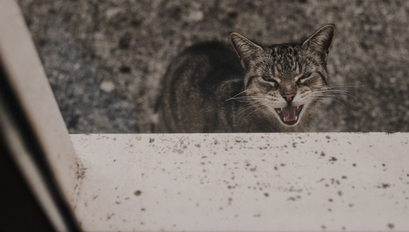 Oran’s Christening