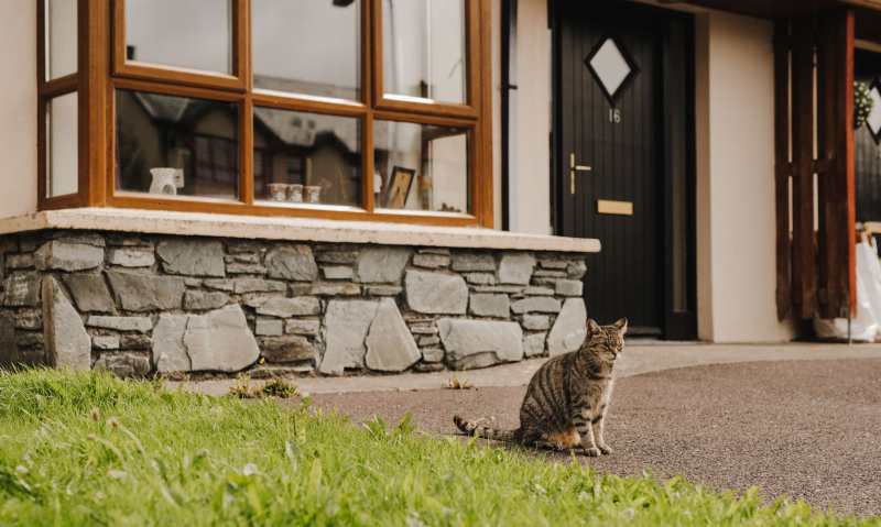 Oran’s Christening