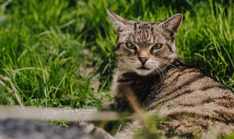 Oran’s Christening
