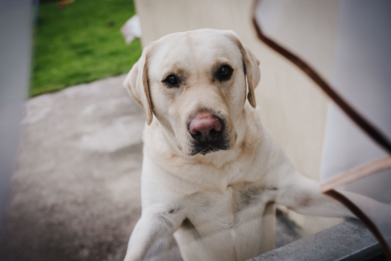 Filip’s Christening , 07.10.2018 Castleisland