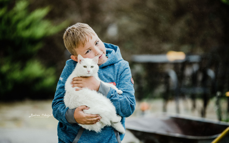 Project 52 weeks 2018