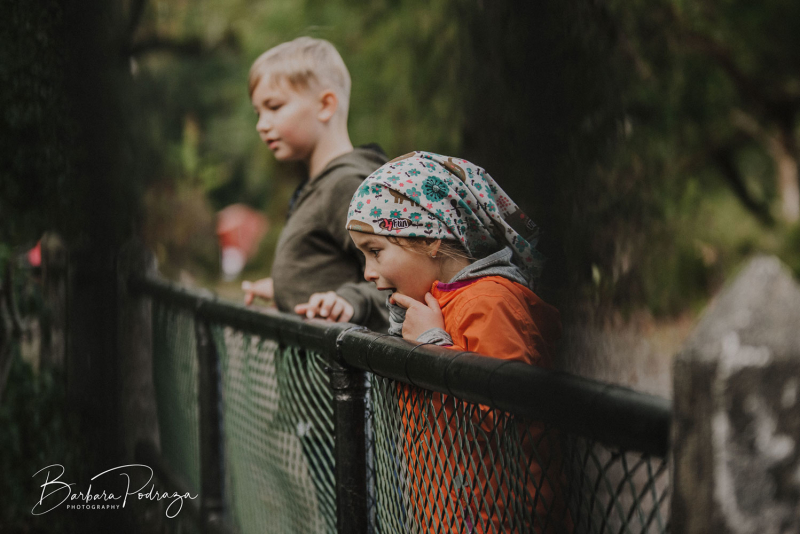 Project 52 weeks 2018