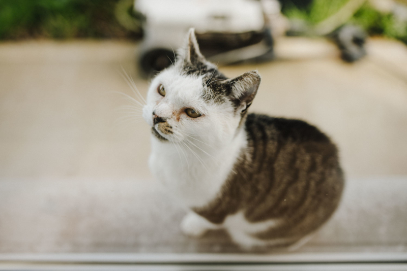 Ayda Rose Christening