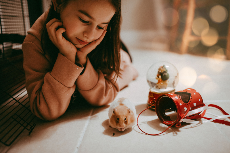 December story 2020 (Covid-19)