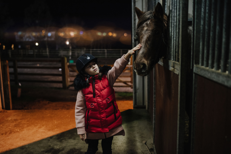 December story 2020 (Covid-19)