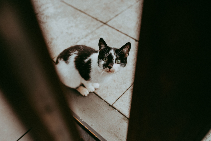 Katie Mai and Her Christening Day 25/03/23